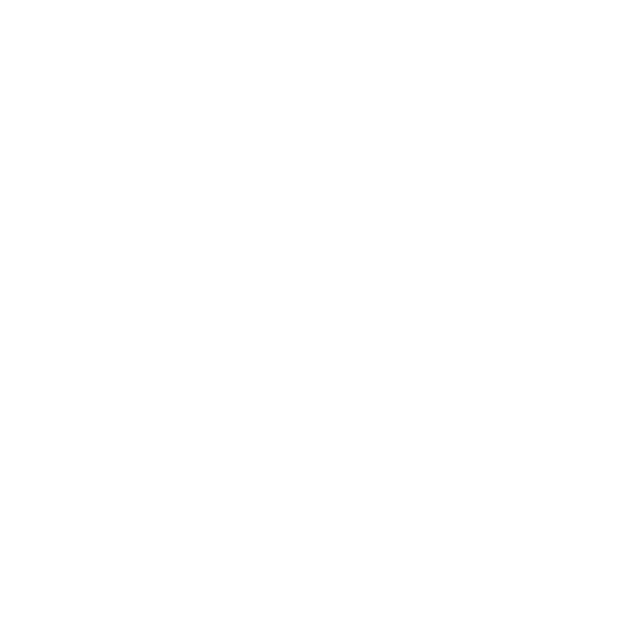 Payment Auditing