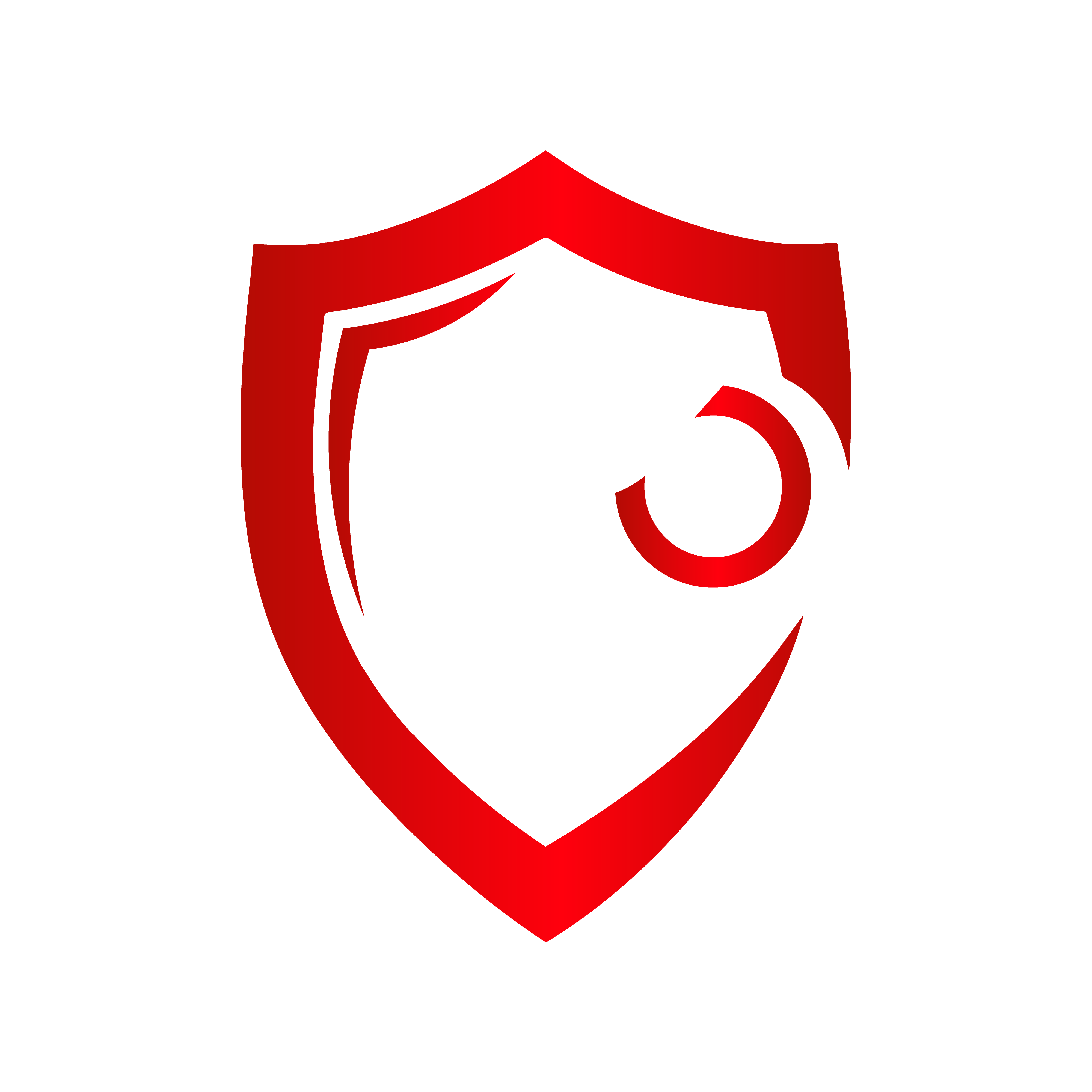 Nexus Guard